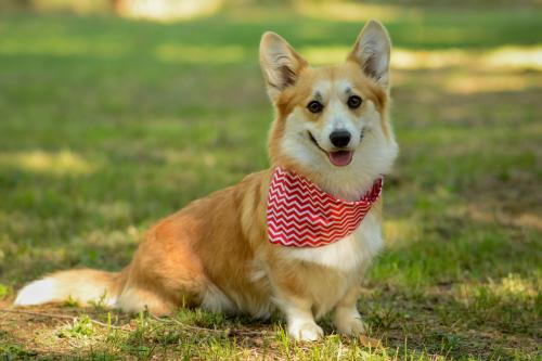 27080981 22bd6cede2479246406c0df4671c4439 xl