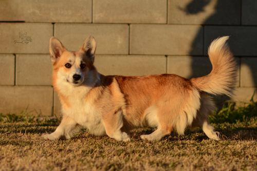 27116042 a7af859ba6406bda72f68ae7bef5eaff xl