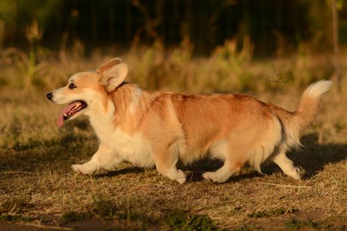 27116306 d1b302a9e32dbd9181955775452c37a2 xl