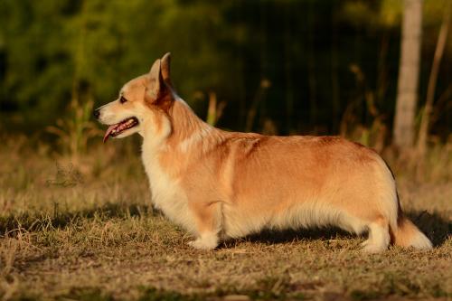 27116310 353917aeb42189cef57dac4992680b59 xl