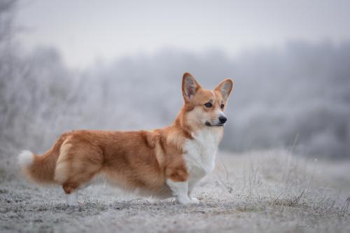 27168744 0d82065b0ca8663052c18317b0c26690 xl