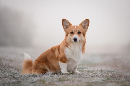 27168746 4a1222b02e578b3c131a85fcdcfafc4f xl