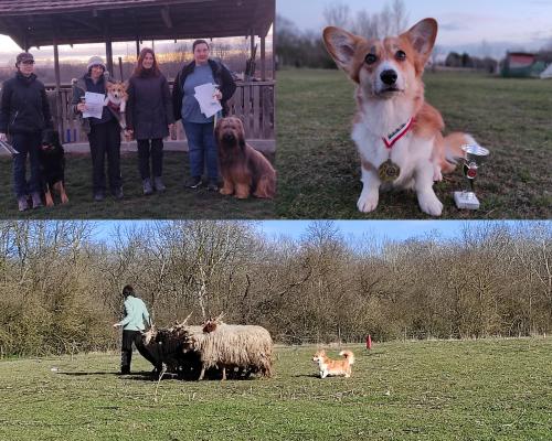 27174642 e7c896f5bfea33440642adf1dd71d36c xl