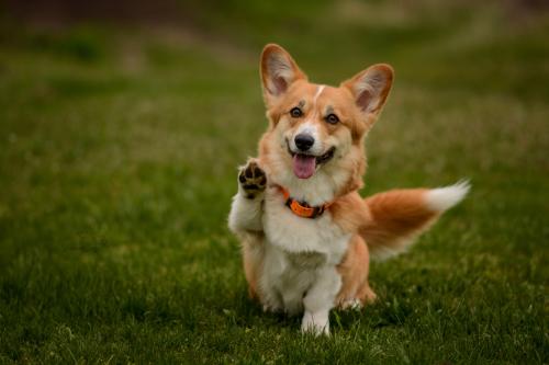 27182880 e251bbe129d2ea31c4e502617f1ff2c6 xl