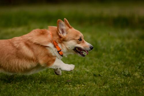 27182882 532ada574f32f0acbc7be3f752ac1f46 xl