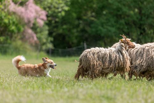 27190974 5f3edf9c7620b16c4550388254cf29f1 xl