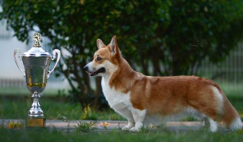 27214878 fd58b42e9a3f3c07cc2f9ad1b0a1479a xl