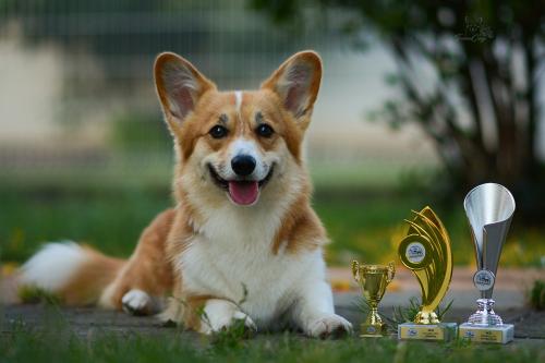 27214906 db7701a8ad384eb9b3a4aee47b22e32c xl