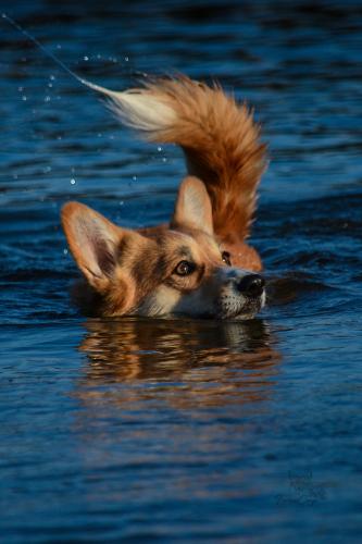 27225158 d8b3c8fb66bd3c611afe1395dad92313 xl