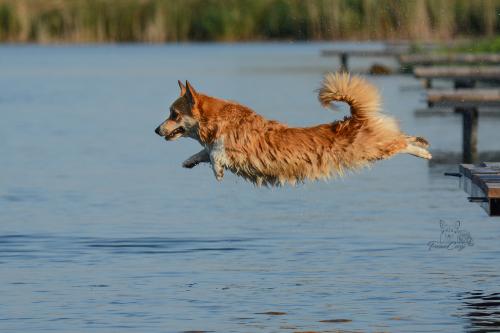 27225160 52123b1b94bc3243e8c0cb7b27fc330b xl