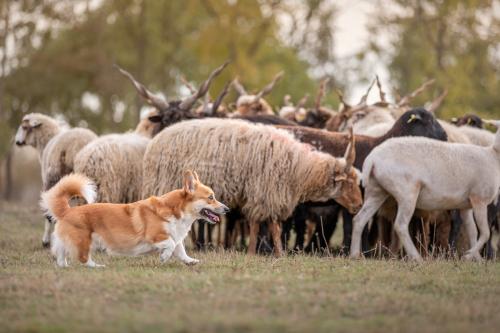 27251868 9692699a79c900b073d104fa5d8a1cec xl