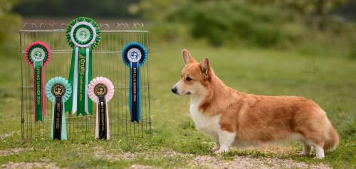 27290228 1057fedc8774cf8f31b92e3ef1f879de xl