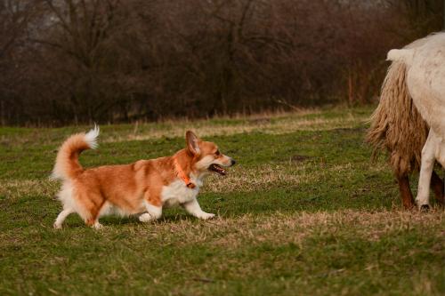 27290256 64574326c2637c2e9c3b72f36997156b xl