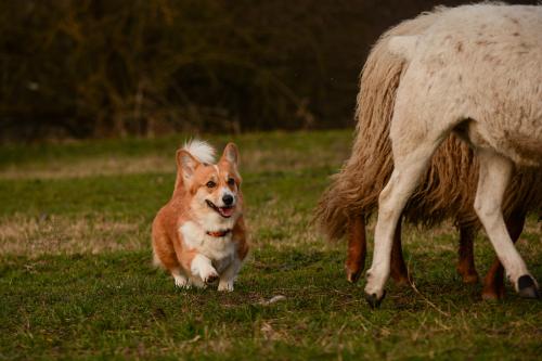 27290258 d3b08e565c5e3609fe09ea0289a243f7 xl