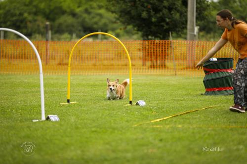 27308544 3f327907883f984514c9e021e993425d xl