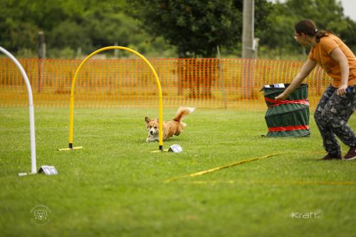 27308546 7090fb781135c68bab36b2e9f05c4b1e xl