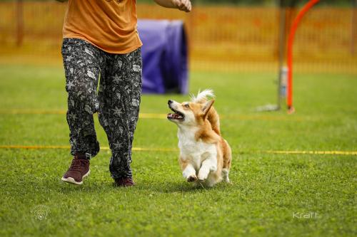 27308548 43f91d370a7d9aacf3280f7bb3e2051c xl