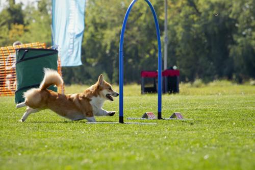 27341810 be327d42e8ea7b2295c3d1299fdc1197 xl