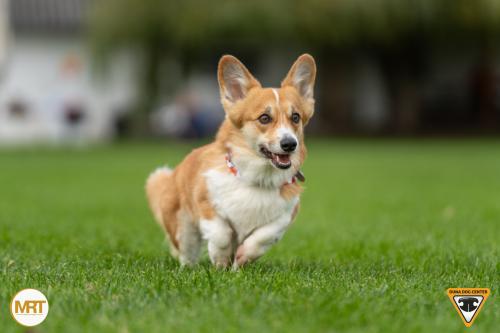 27346538 c0faa4be13d85f2489c88d7c7a101377 xl