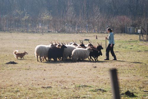 483871691 9621545481234848 7816711867882353931 n