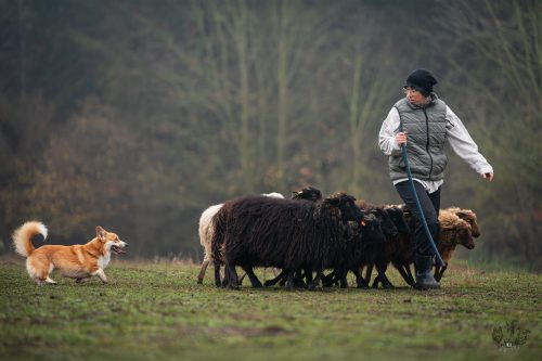 DSC03705-Enhanced-NR-Edit