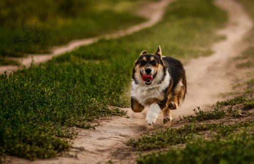 26949843 341c6881003173d700af23d573908dcf xl