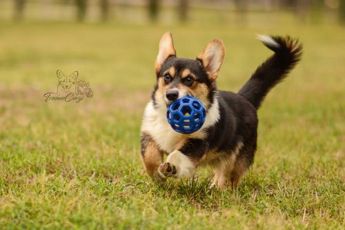 26949847 6e4d56101559611c8fab9784eb416fc8 xl