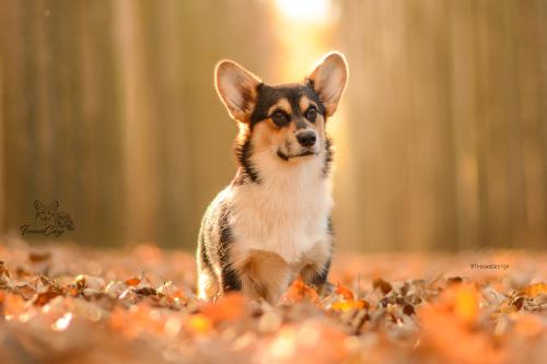 26976669 94bd1d1d40593b5f1da824c9f056f55f xl