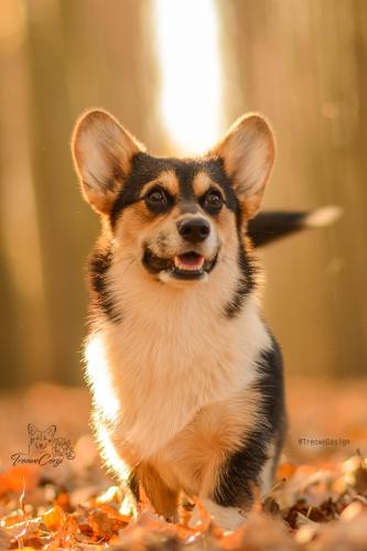 26976671 a4a32773e11a6000fa07da5e7c263b85 xl