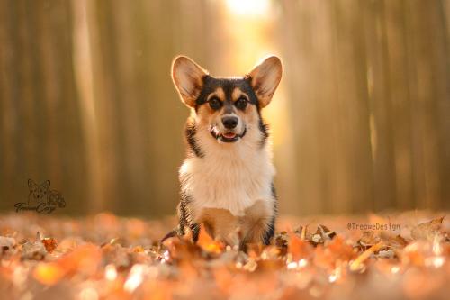 26976673 30b41157d48e384fe6303278fec3f7ea xl