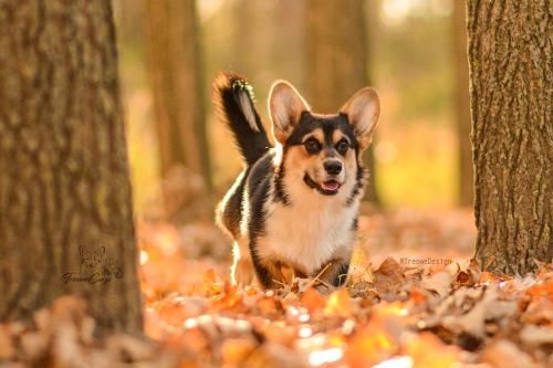 26976693 345ec42617f8067b3fe36f8d73b86f05 xl