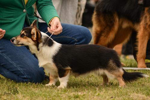 26979039 e5efd9e0bd5bce9c30ca3cab5dbb4df3 xl