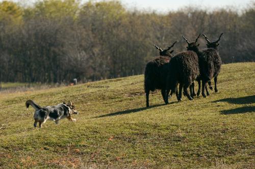 26982571 914708bf1afeface603ad8fff841d0fa xl