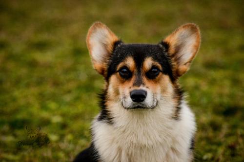 26997455 aea361aebc1256f068a75a340d90453a xl