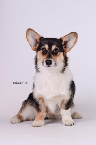 27000325 c1d46dea0710ca858caaafdad0f0cd31 xl