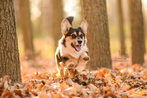 27000327 da1b90b8c9aa0af0f1279b29e61a5171 xl