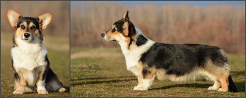 27003501 cd9485cb0d92f9d56d5fb6b991c5cd76 xl