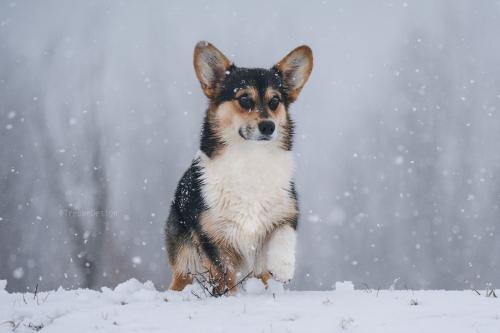 27008845 1bd75ce53deba93ffb6f7548e2a69508 xl