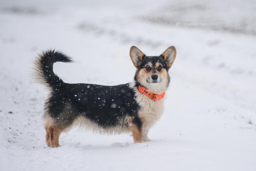 27008849 2f4914b6d81832a40e9e60043a1bcdc7 xl