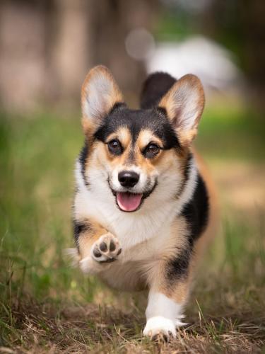 27061797 ca8beaa76a65e7c1c719c3033eed64f7 xl