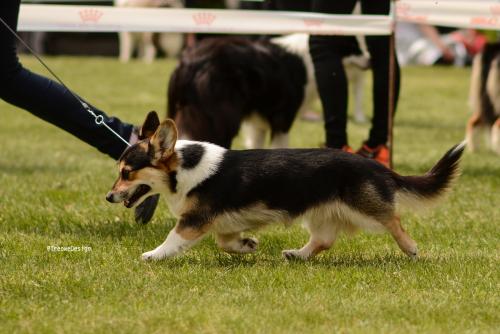 27061817 a781935bbfaa5cde0de84932a6d71421 xl