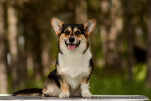 27062089 fe7035807aaf0489fd8834cdc8562aaa xl