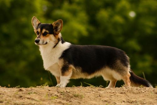 27070721 ff209654564f1951f9accb18b7a50b17 xl