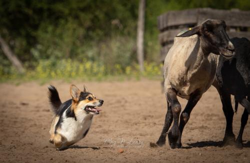 27080255 2672d36cf5e8e45f55ec8ee32a39997e xl