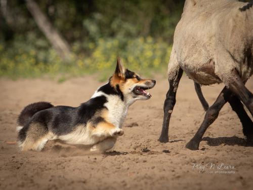 27080257 bf7df63e57d1c8db2ad666ba67cac2b3 xl