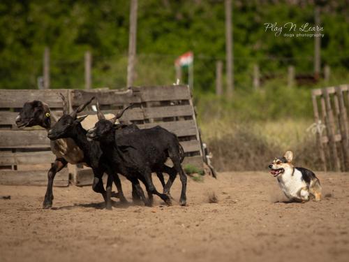 27080259 14398a3fa2a442eb9344627d140186fb xl