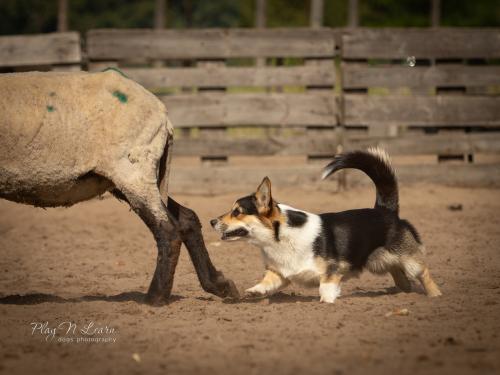 27080261 4d0a385dad145f246ef8e8a5e042946b xl