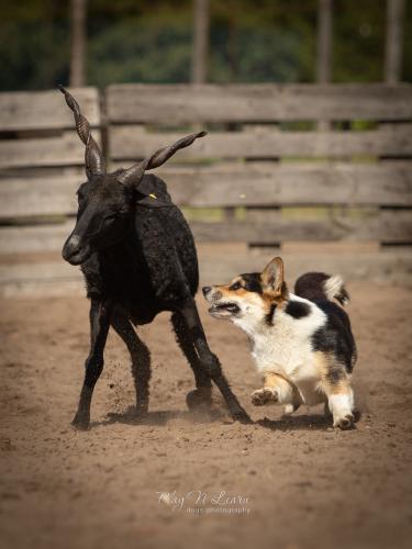 27080263 3ae3e580ffdc096de607a3b0fd5cc995 xl