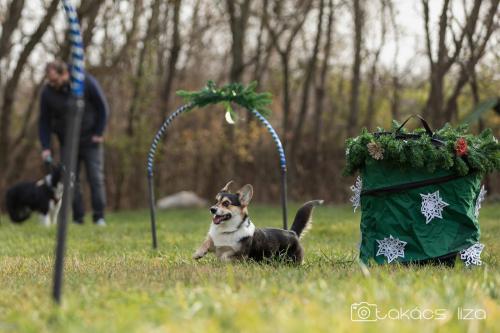 27145858 87ae00f0722124e94d47e2b351583629 xl