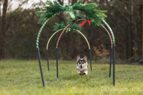 27145860 c573d0597c7273aec078c0dbea751949 xl